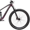 Trek Fuel EX 7 NX Eagle 29 Mountain Bike 2020