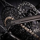 Trek Roscoe 7 Mountain Bike 2021