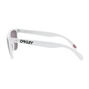 Oakley Frogskins Sunglasses With Prizm Grey Lens - 35th Anniversary