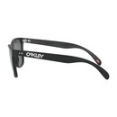 Oakley Frogskins Sunglasses With Prizm Black Lens - 35th Anniversary