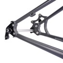 Genesis Tarn Mountain Bike Frame 2020