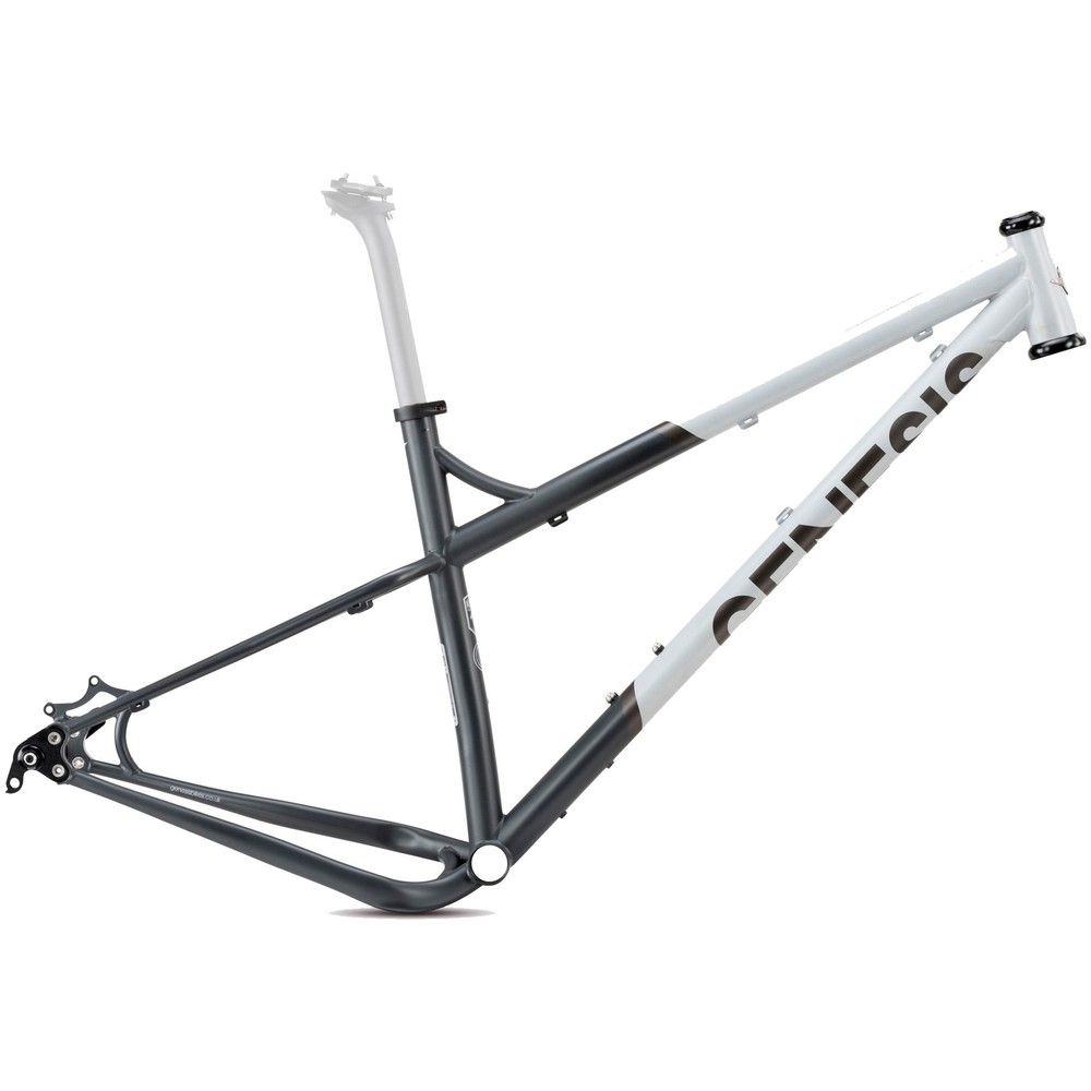 Genesis Tarn Mountain Bike Frame 2020