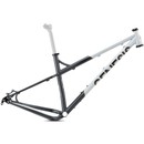 Genesis Tarn Mountain Bike Frame 2020