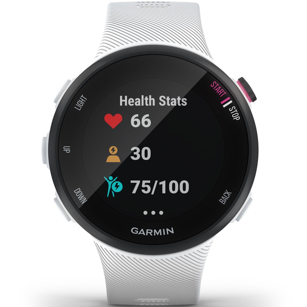 Garmin Forerunner 45S GPS Watch