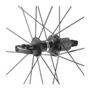 Mavic Aksium Clincher Rear Wheel 2021