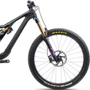 Orbea Rallon M-TEAM 29
