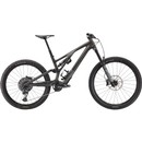 Specialized Stumpjumper EVO LTD Mountain Bike 2021