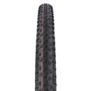 Schwalbe Racing Ray EVO Super Race TLE MTB Tyre