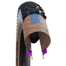 Schwalbe Racing Ray EVO Super Race TLE MTB Tyre