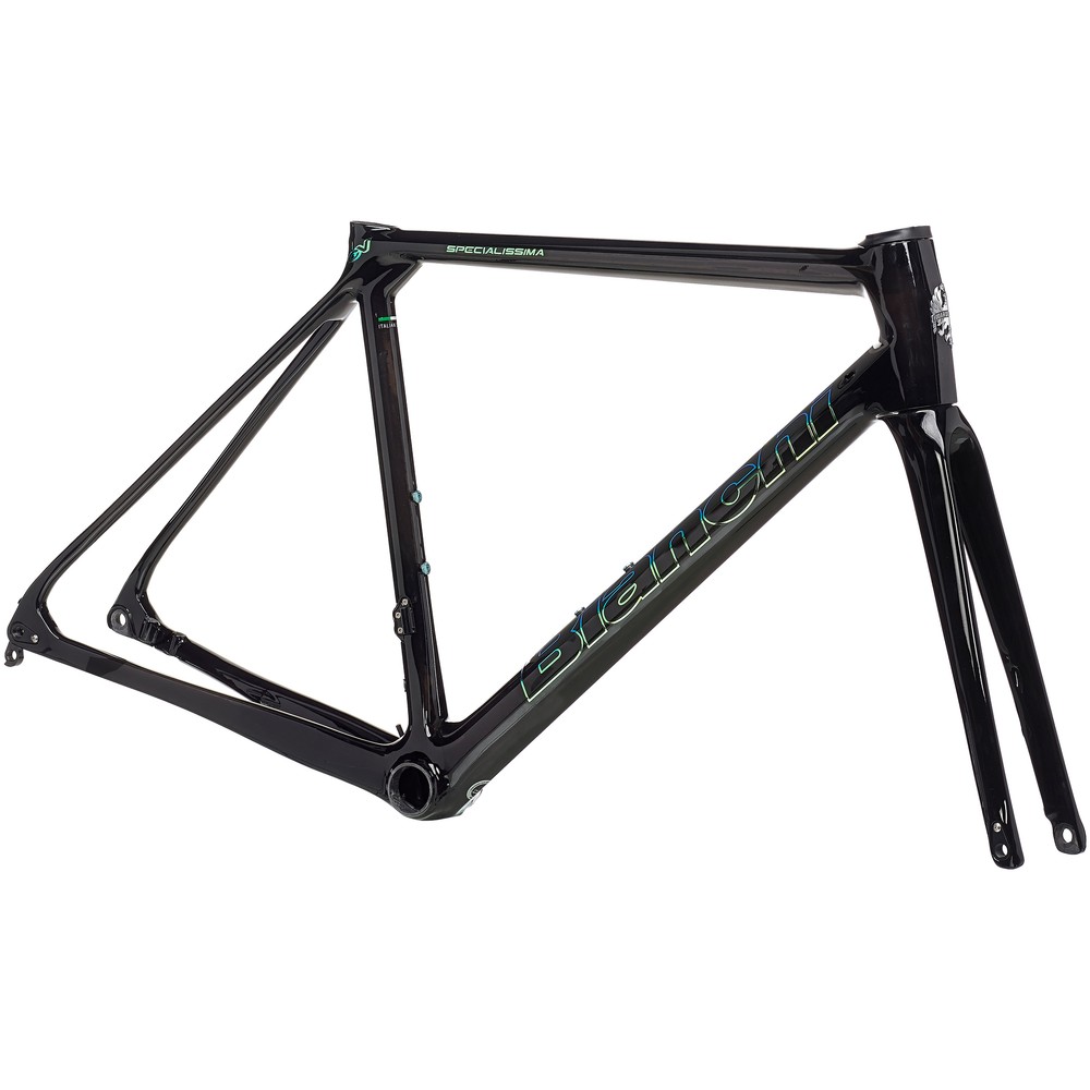 Bianchi Specialissima CV Disc Road Frameset 2021