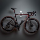 Cactus Tongue Air Roadie Bike Hanger