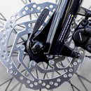 Trek District+ 1 Lowstep 300Wh Electric Hybrid Bike 2021