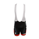 Castelli IG Sigma Sport Free Aero Team Replica Bib Short 2013