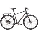 Trek District 4 Equipped Hybrid Bike 2023