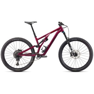 Specialized Stumpjumper EVO Comp Alloy 29