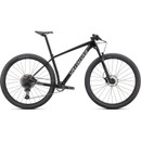 Specialized Epic Hardtail 29
