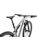 Specialized Epic Evo 29