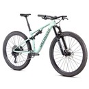 Specialized Epic Evo Comp 29