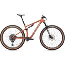 Specialized Epic Evo Expert 29