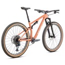 Specialized Epic Evo Expert 29