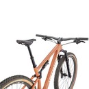 Specialized Epic Evo Expert 29