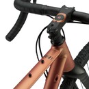 Rondo Ruut AL 2 Disc Gravel Bike 2022