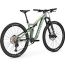 Focus Thron 6.9 Mountain Bike 2023