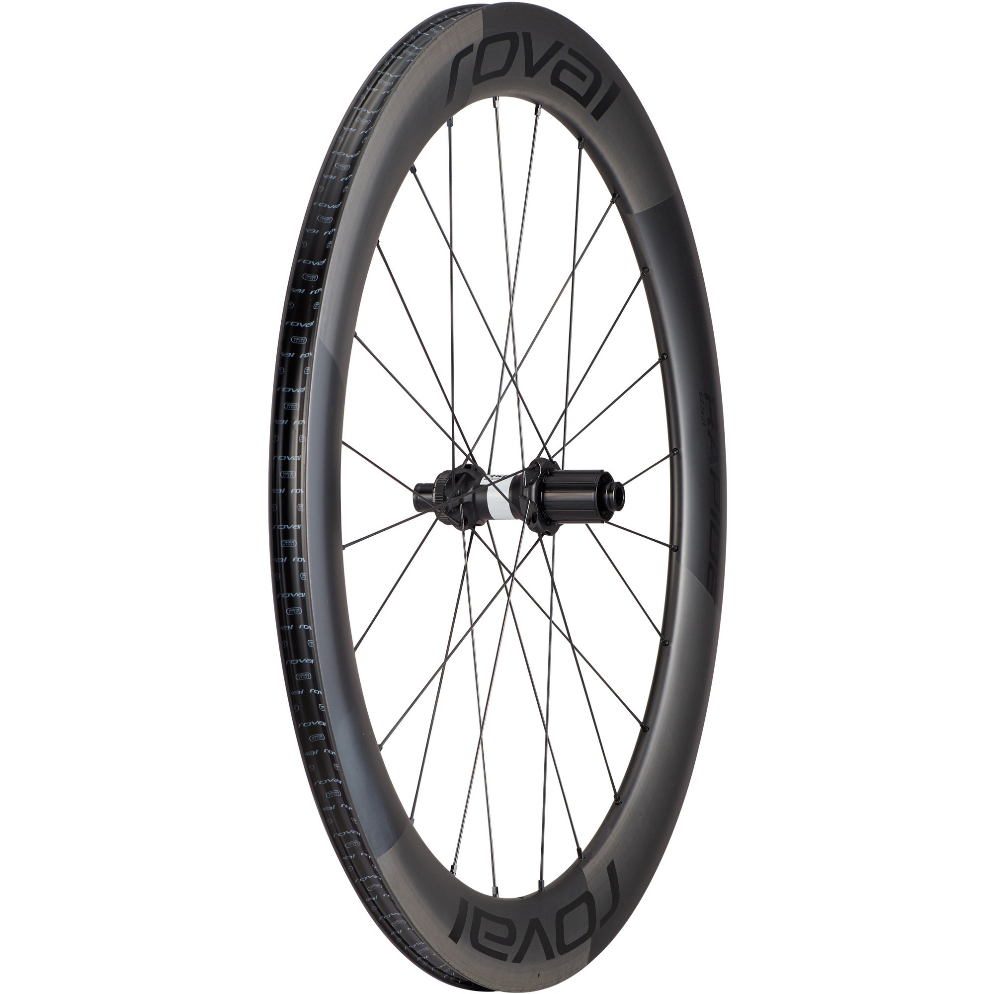 2 Rayons DT Swiss Roval Rapide CL II – Course Compétition, 256 Et 260 Mm, Neufs
