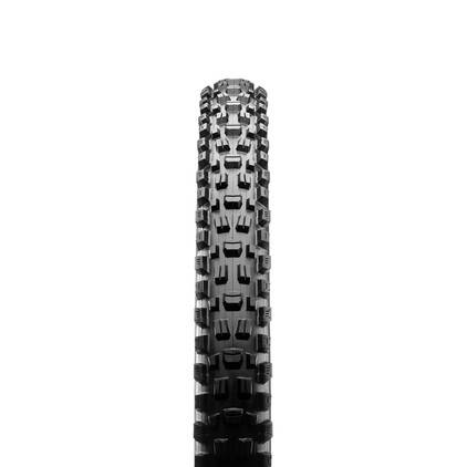 Maxxis Assegai 3C MaxxTerra EXO+ TR MTB Tyre Sigma Sports