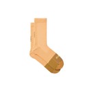 MAAP Division Socks