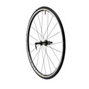 Mavic Aksium Clincher Rear Wheel With Tyre 2013