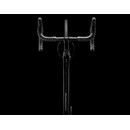 Trek Domane AL 2 Disc Road Bike