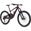 Specialized Enduro Expert Mountain Bike
