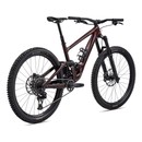 Specialized Enduro Expert Mountain Bike