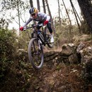 Specialized Epic 8 Pro Mountain Bike