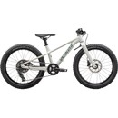 Specialized Riprock 20 Kids Bike