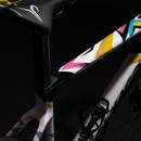 Colnago V4Rs Tadej Pogačar Special Edition Road Bike