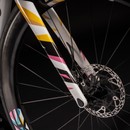 Colnago V4Rs Tadej Pogačar Special Edition Road Bike