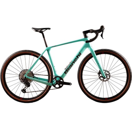 Bianchi VIGORELLI 55サイズ【ホイール無しも選択出来ます】 Bianchi VIGORELLI 55サイズ【ホイール無しも選択出来ます】