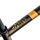 Argon 18 Dark Matter Rival AXS XPLR Gravel Bike