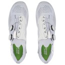 Q36.5 Dottore Clima Road Shoes