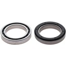 Campagnolo Rec/Chorus 11X UT Usb Bearings (Pair)