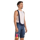 Specialized Red Bull - BORA - Hansgrohe Race Bib Shorts