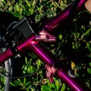 Brompton Colour Lab Touch Points