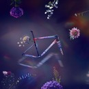 Specialized S-Works Tarmac SL8 Ltd Frameset- Demi Dreaming