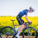 Specialized S-Works Tarmac SL8 Ltd Frameset- Demi Dreaming