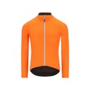 Q36.5 Dottore Pro Long Sleeve Jersey