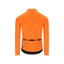 Q36.5 Dottore Pro Long Sleeve Jersey