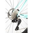 Bianchi Infinito Carbon 2025 55cm - Approved Used