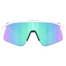 Oakley Stunt Devil Sunglasses